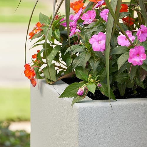 Miniatura 4 de PolyStone Kensington - Maceta alta y moderna en columnas para exteriores e interiores, 16 pulgadas de largo x 16 pulgadas de ancho x 36 pulgadas de