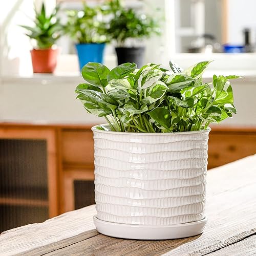 Vista 48 de Maceta de cerámica de 8 pulgadas: maceta de cerámica con orificio de drenaje y platillo para plantas de interior y exterior, maceta con bandeja