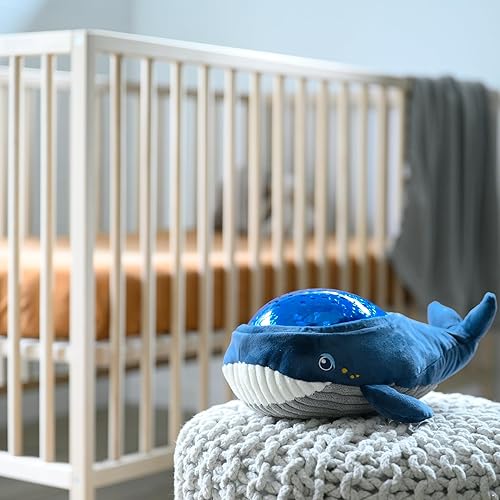 Miniatura 10 de Angelcare Bobbi The Whale Proyector de luz nocturna de techo para bebés y niños, chupete de sueño con canciones de cuna de volumen ajustable, ruidos