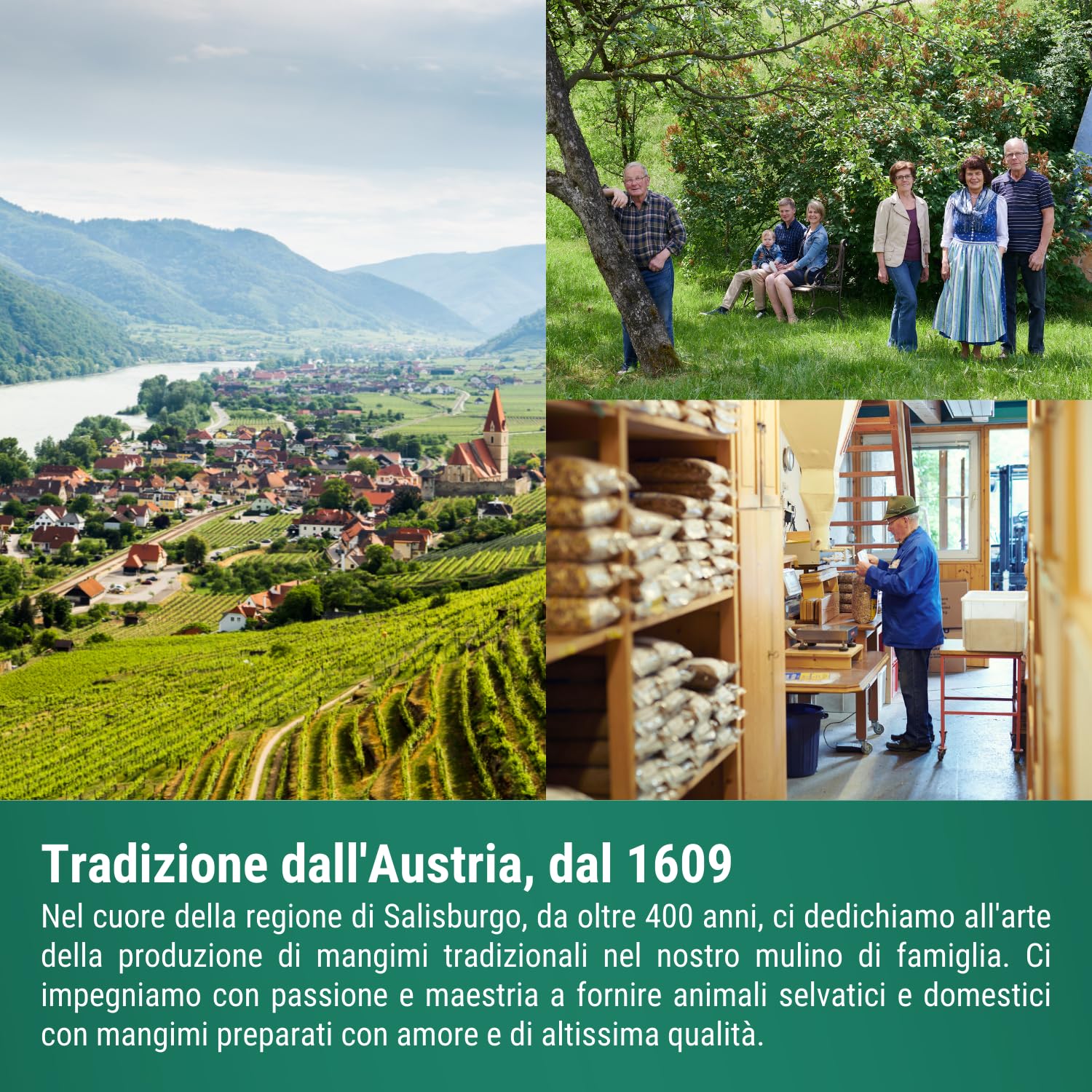 Agrarzone Mangime per alpaca in muesli 20 Kg - Formula muesli 'light' a ridotto contenuto proteico - Ideale per l'alimentazione di alpaca, lama, cammelli e cavalli