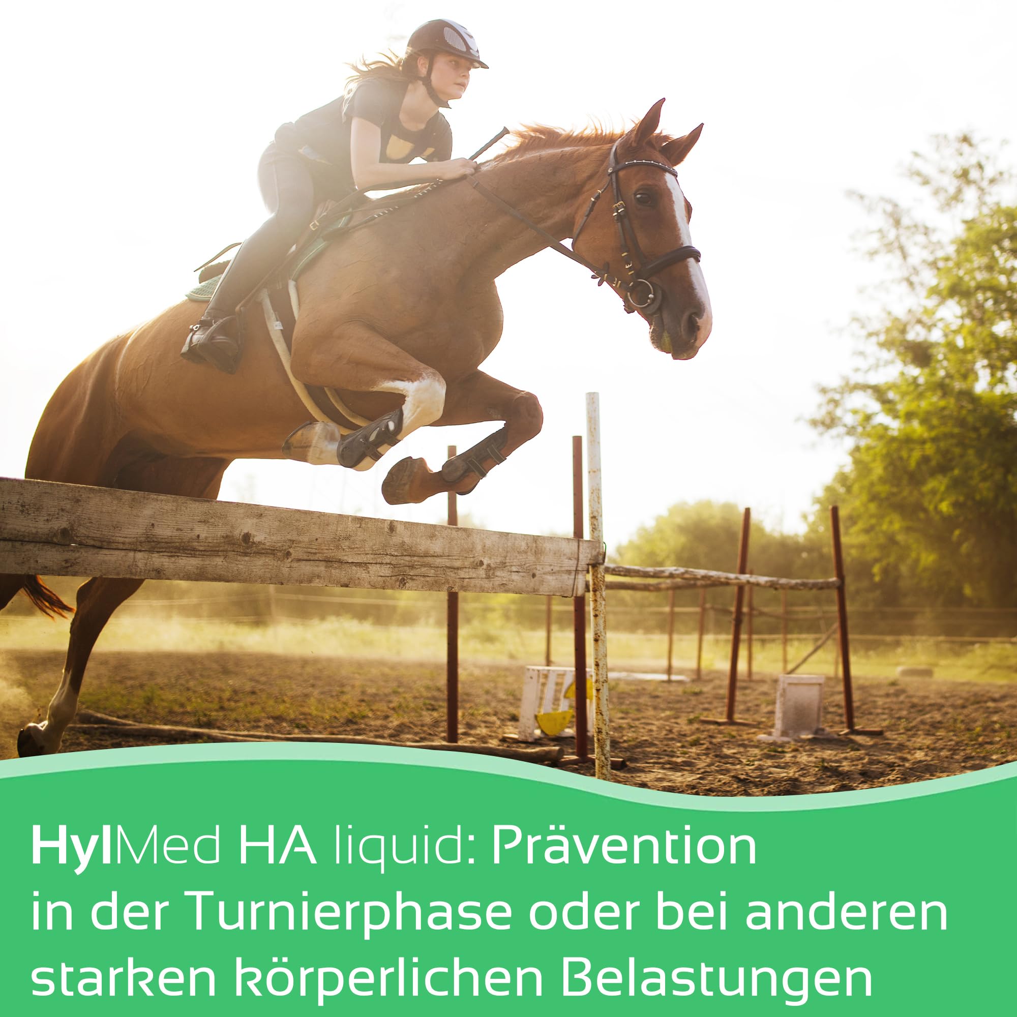 HA Liquid Horse - 2 x 500 ml de ácido hialurónico, colágeno y otros nutrientes para apoyar el sistema musculoesquelético del caballo