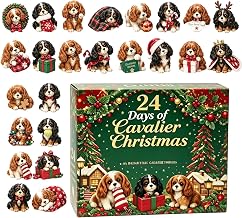 Calendrier de l'Avent Décompte de Noël Ornements de l'Avent Cavalier 2D 24 | Calendrier des fêtes décorations de Noël Pour garçons filles adultes cadeaux de fête chaussettes p