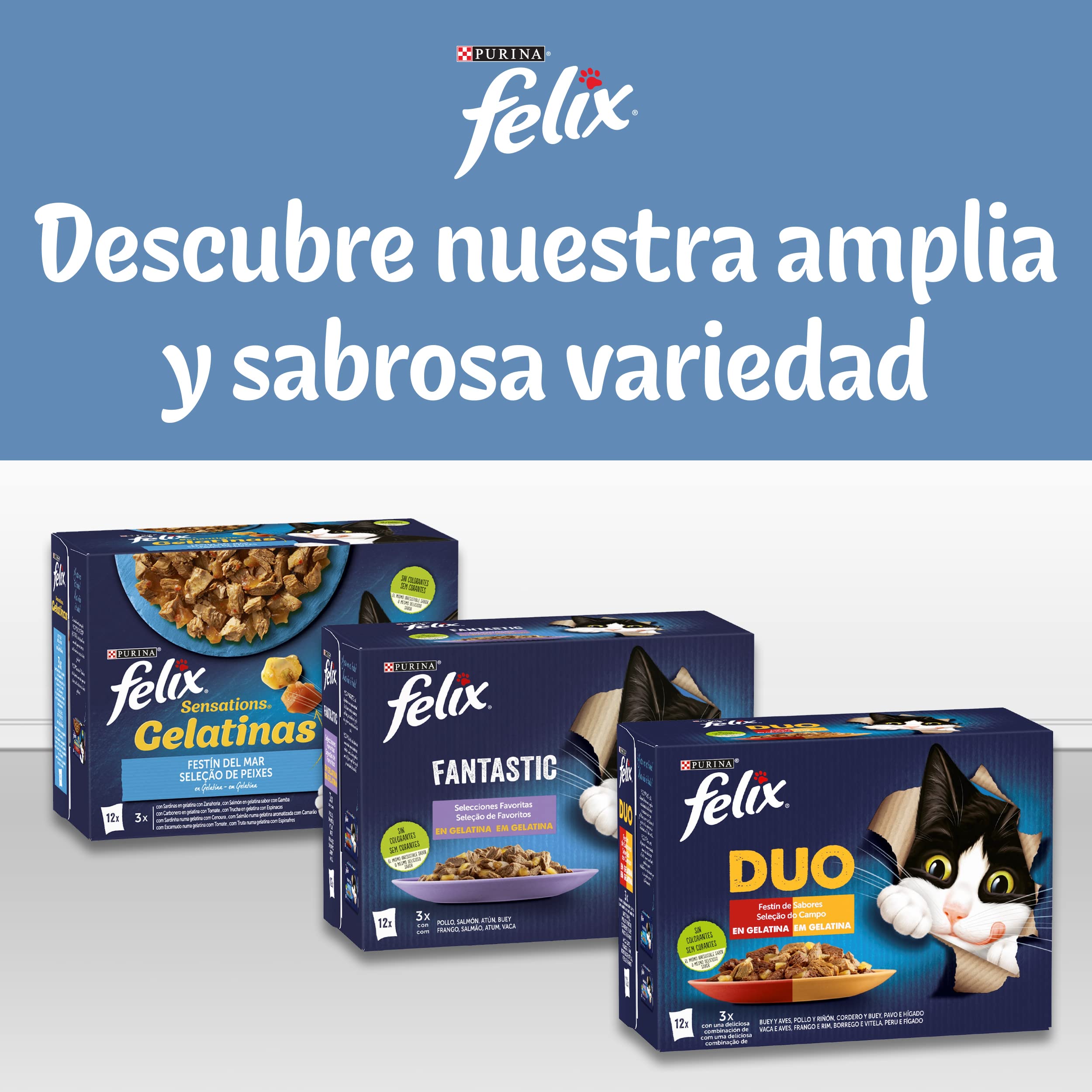FELIX Original, Comida Húmeda para Gato Adulto, Gelatina, Surtido de Pollo y Buey, 12 Packs de 4 Sobres de 85 g. (48 Sobres)