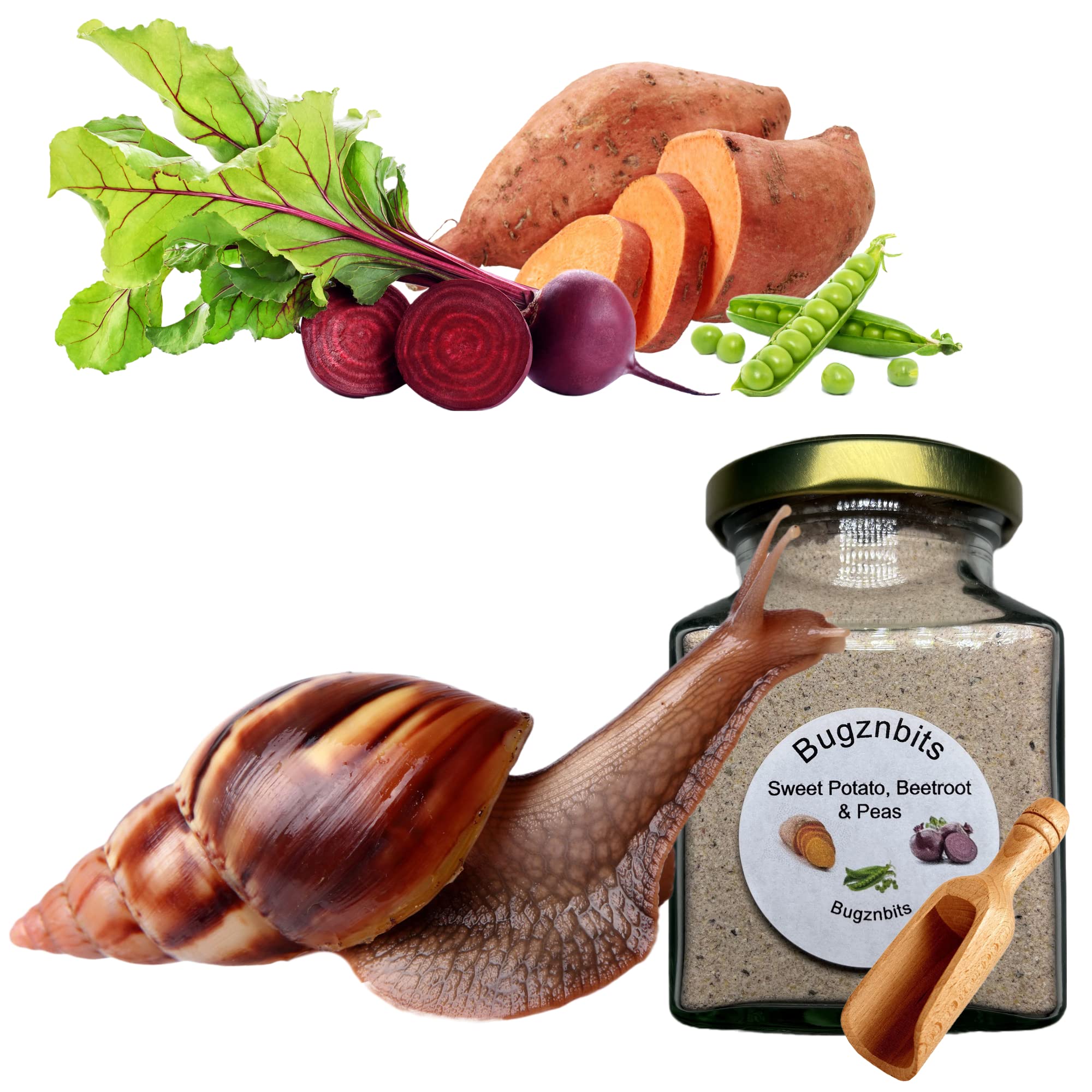 Bugznbits Giant African Land Snail Food, 100% Organic Blend with Sweet Potato, Beetroot & Peas, Also Great for Millipedes & Hermit Crabs (210ml Refillable Jar)