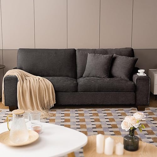 DOPEDIO Modern Loveseat Sofa for Living Room,Chenille Recliner, Removable Cover, Spring Cushions, Solid Wood Frame, Easy Assembly for Small Spaces (71.25inch,Dark Grey) - 71.25 inch - Dark Grey Chenille