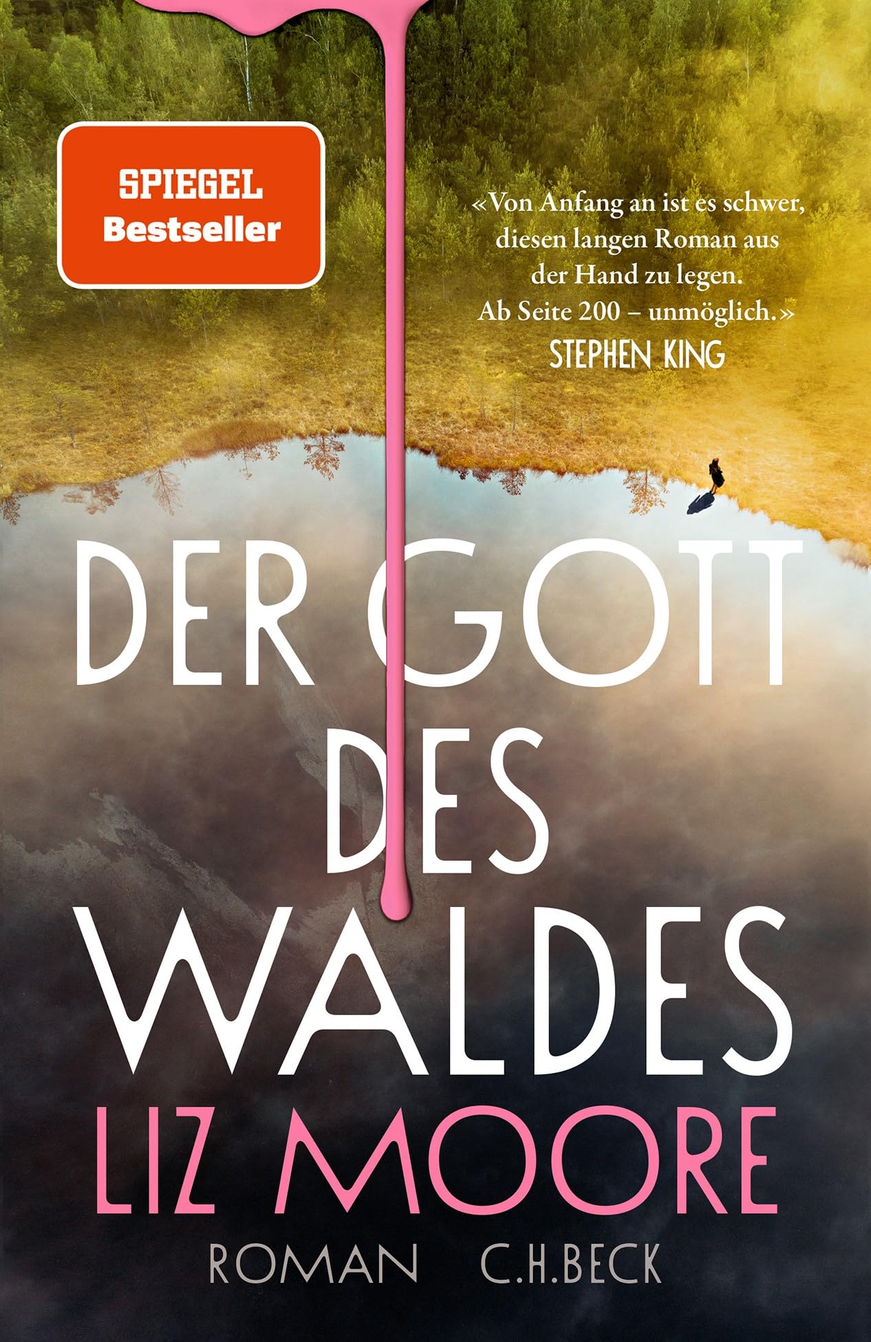 Der Gott des Waldes: Roman