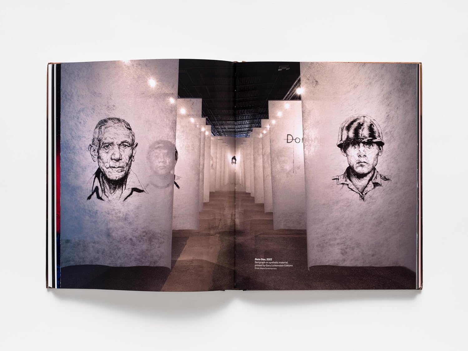 Vincent Valdez: Just a Dream...      Hardcover – December 12, 2024