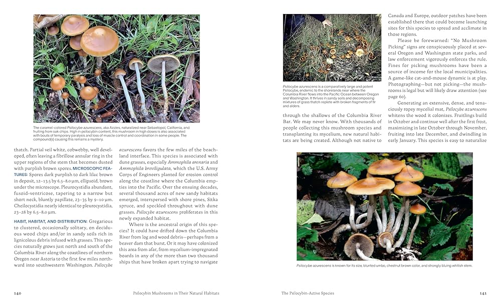 洋書 Mushrooms 91E7AYrhDYL._UF350,350_QL50_.jpg