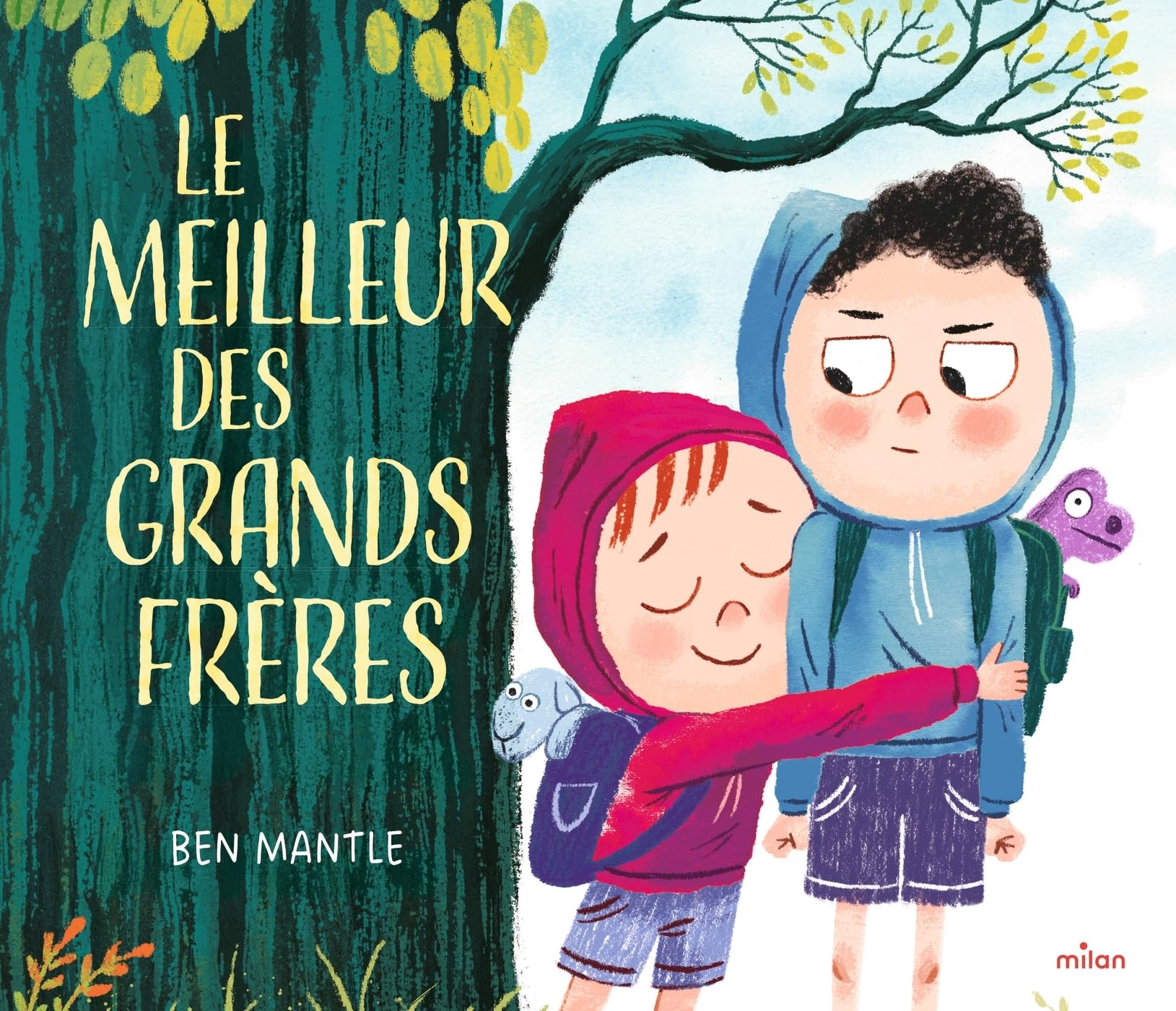 Le meilleur des grands frères