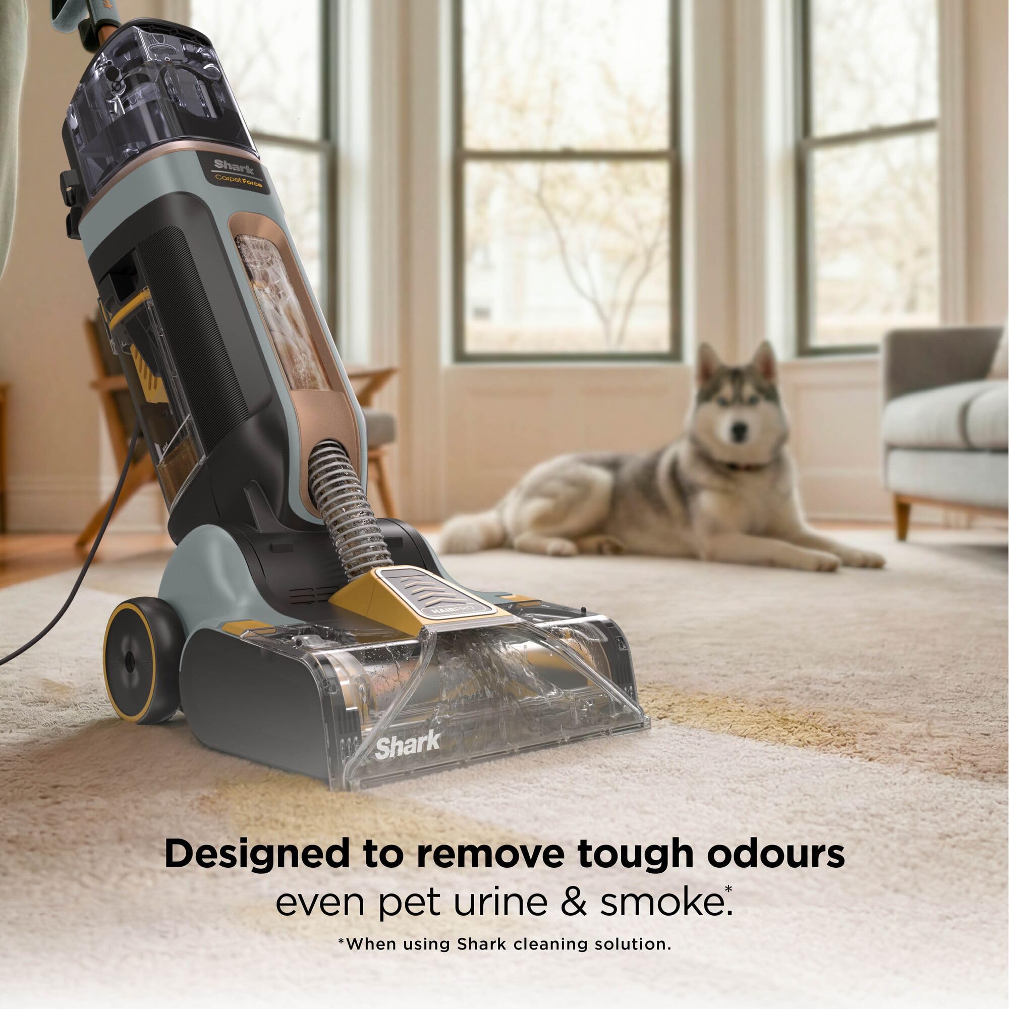Shark CarpetForce - Limpiador de alfombras ultra vertical con HairPro