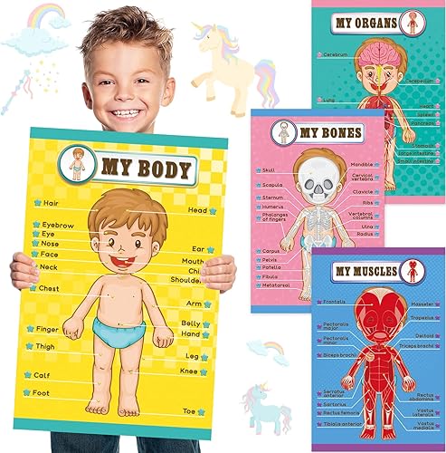 Outus Carteles educativos de aprendizaje del cuerpo humano, parte del cuerpo, tabla de pared de 22 x 17 pulgadas para niños, tabla de anatomía de