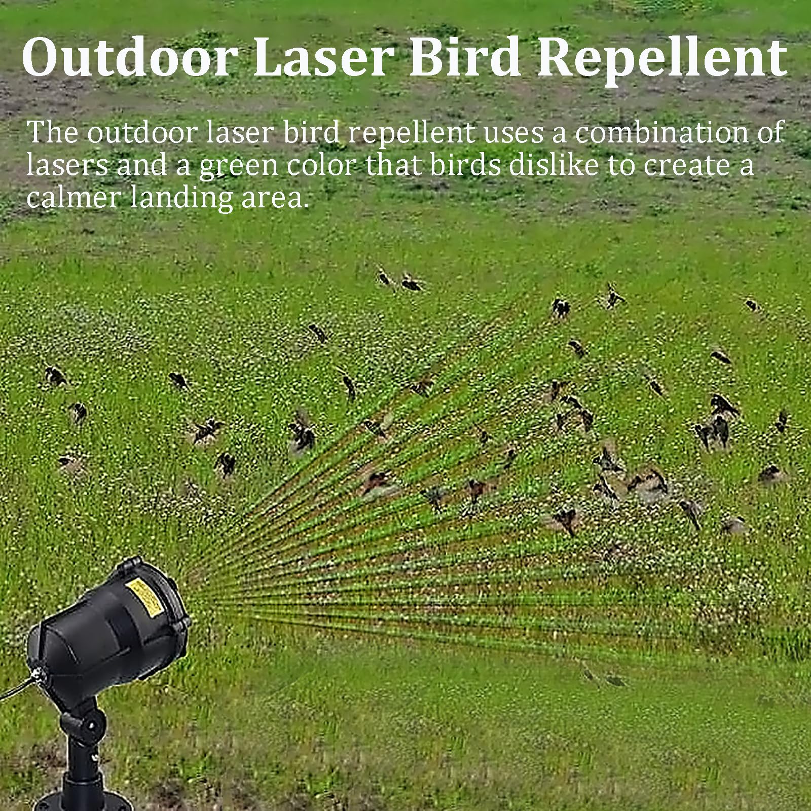 Ahuyentador de Pájaros Láser Exterior con Temporizador y Control Remoto, Dispositivo Automático para Palomas, Gorriones, Estorninos, Jardín y Granja