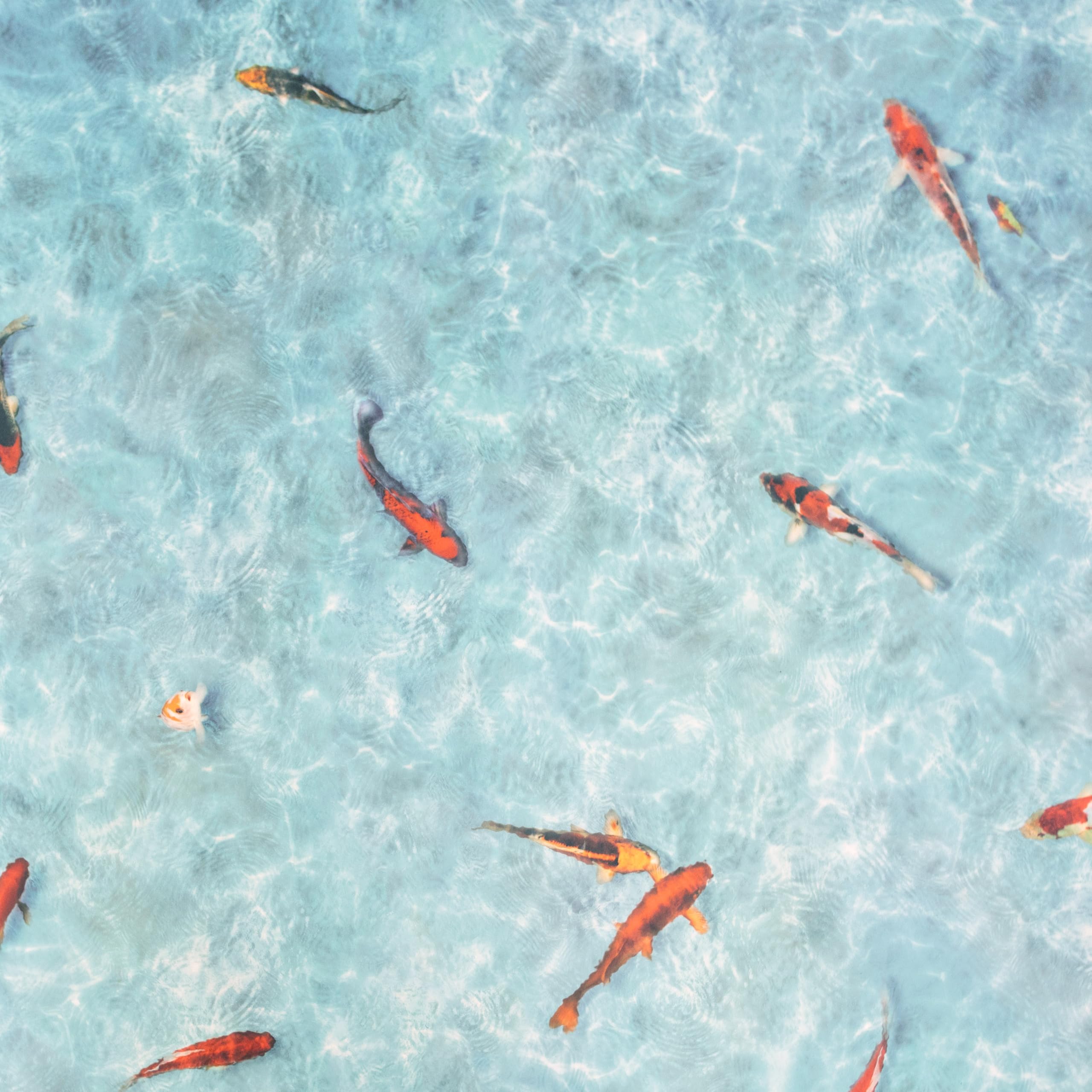 Primaflor CV-Bodenbelag Starlight | Koi | 200x200 CM | Türkis 2,00m Breite