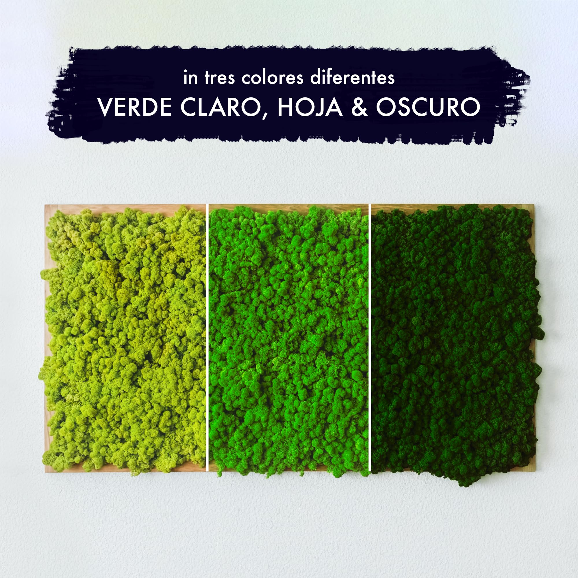 GJS Musgo islandés Natural conservado – auténtico Musgo Decorativo en 200g/500g/1kg/4kg para Cuadros, Manualidades, decoración y terrarios (Verde Claro, 4kg)