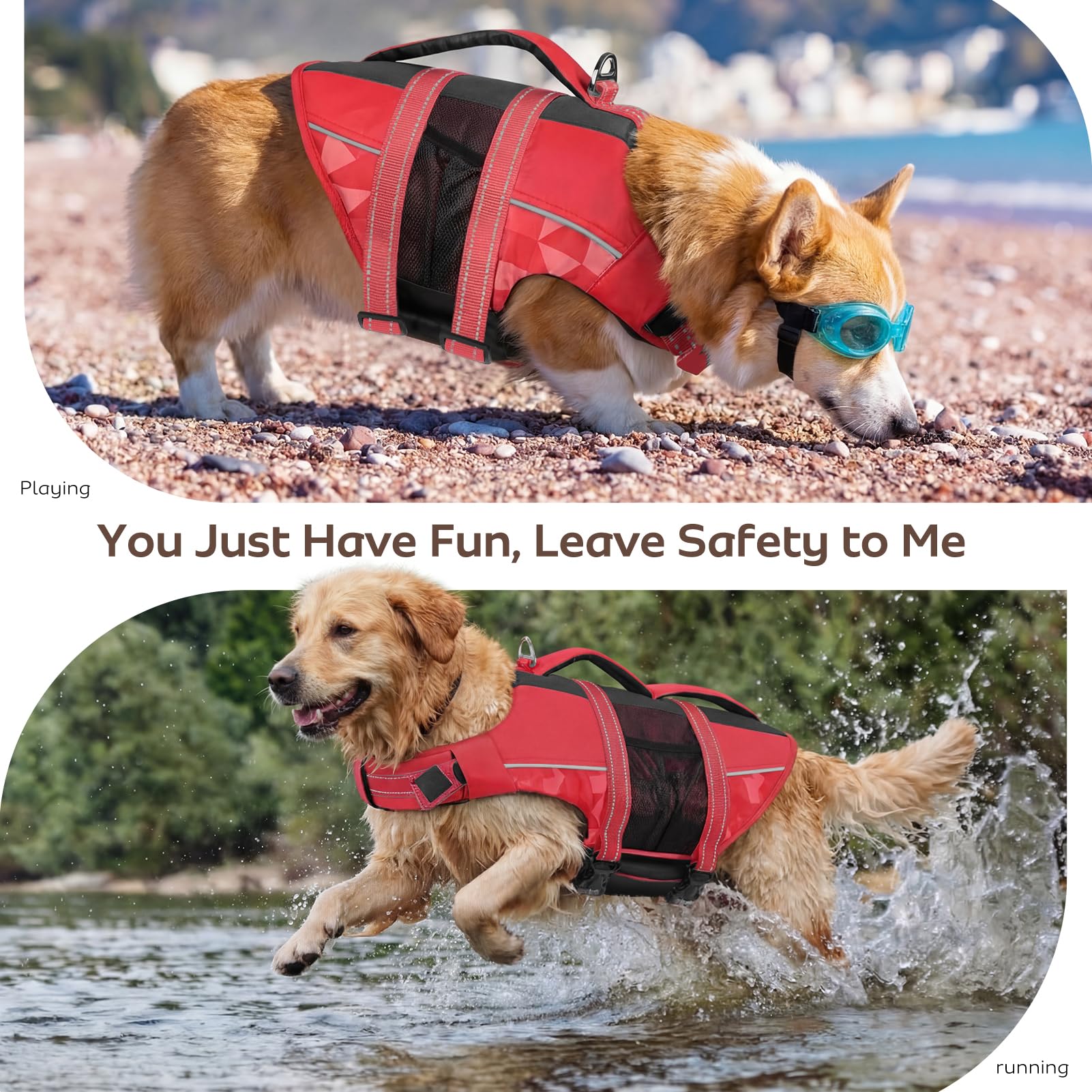 CITÉTOILE Schwimmweste Hund, Hunde Schwimmweste mit Griff und Reflektierend, Rettungsweste für Kleine Mittlere und Große Hunde mit Guter Auftrieb, Leicht und Sicher für Wassersport Rot M