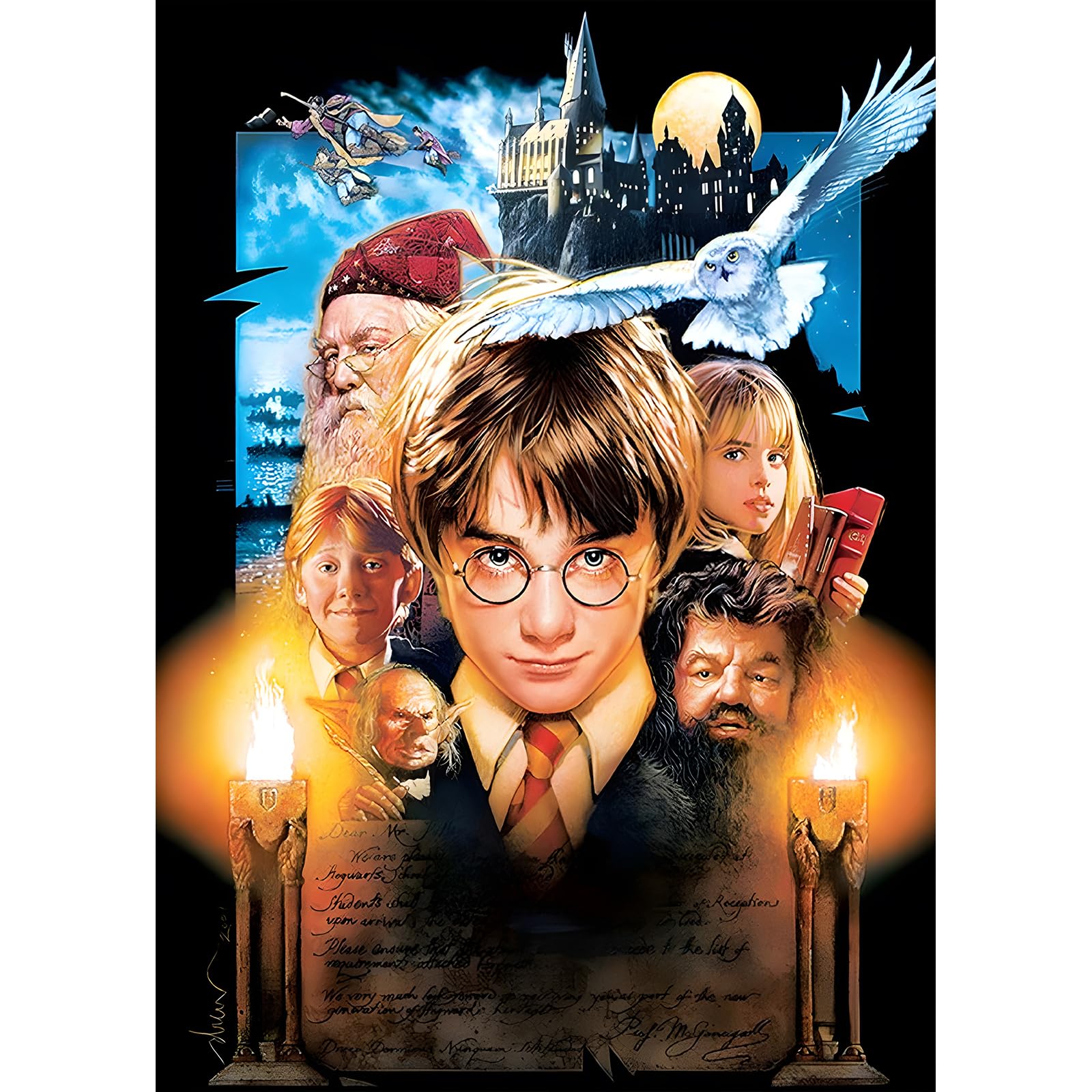 DPHERODIY Classic Film Diamond Painting Kits for Adults,5D Film Characters Diamond Art Kits for Beginners,Round Full Drill Diamond Painting Art,DIY Painting by Numbers Diamond Art Painting 12x16 inch