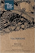 Tollkirsche (Atropa belladonna) - ca. 200 Samen Wildblume alte Heilpflanze Giftpflanze