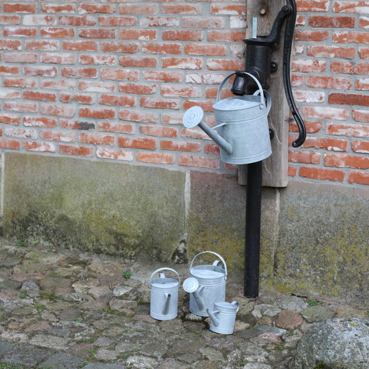 Fallen Fruits 3,5 L Arrosoir Zinc Vieilli