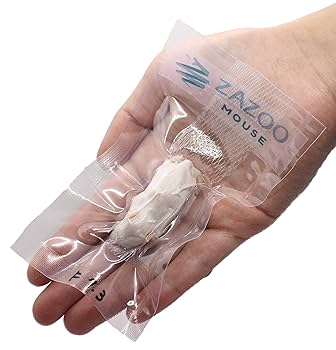 一部地域送料無料★10匹セット 冷凍ファジー　約5.5cm　爬虫類　冷凍えさ thepern_mousefuzzyx10