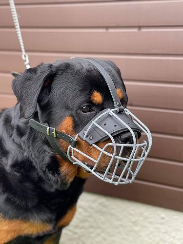 Bozal de metal de alambre fuerte para perro Rottweiler, mastín Golden Retriever y otros (R2