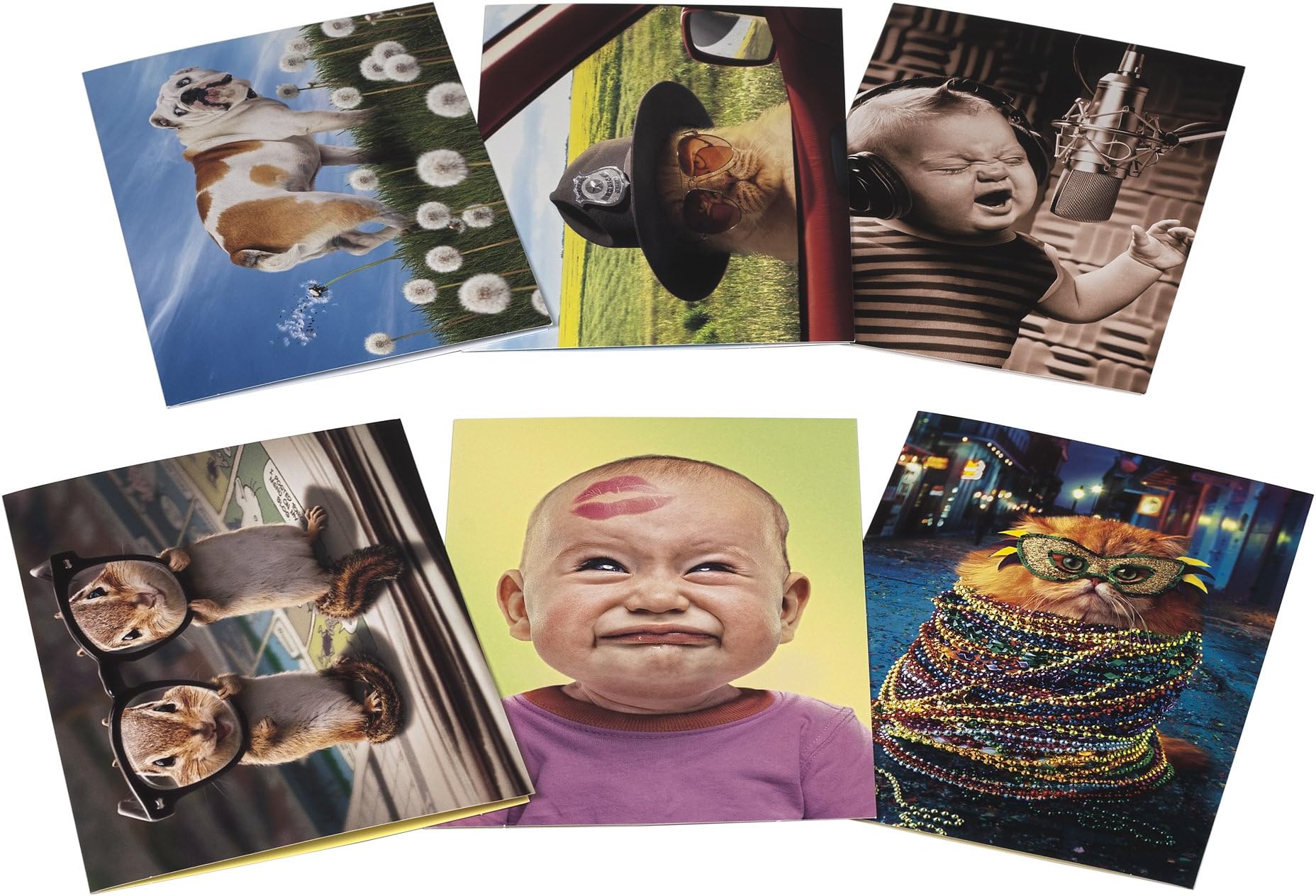 Avanti Birthday Card Collection, It's Your Birthday, 12-Count (200069)