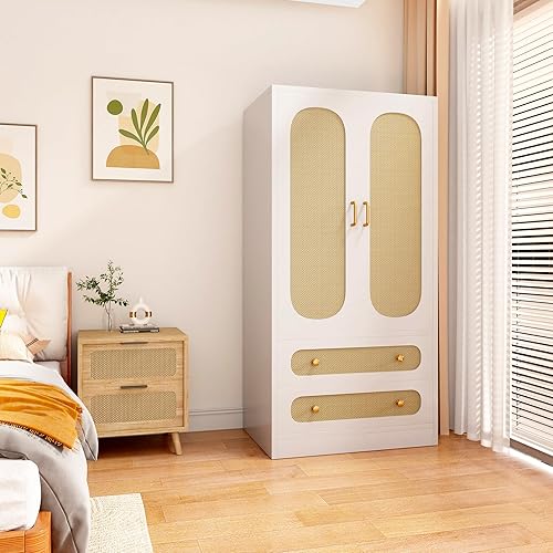 JZXSHD Armario con 2 puertas, armario de ratán con 2 cajones y riel para colgar, almacenamiento independiente de gran capacidad para dormitorio,