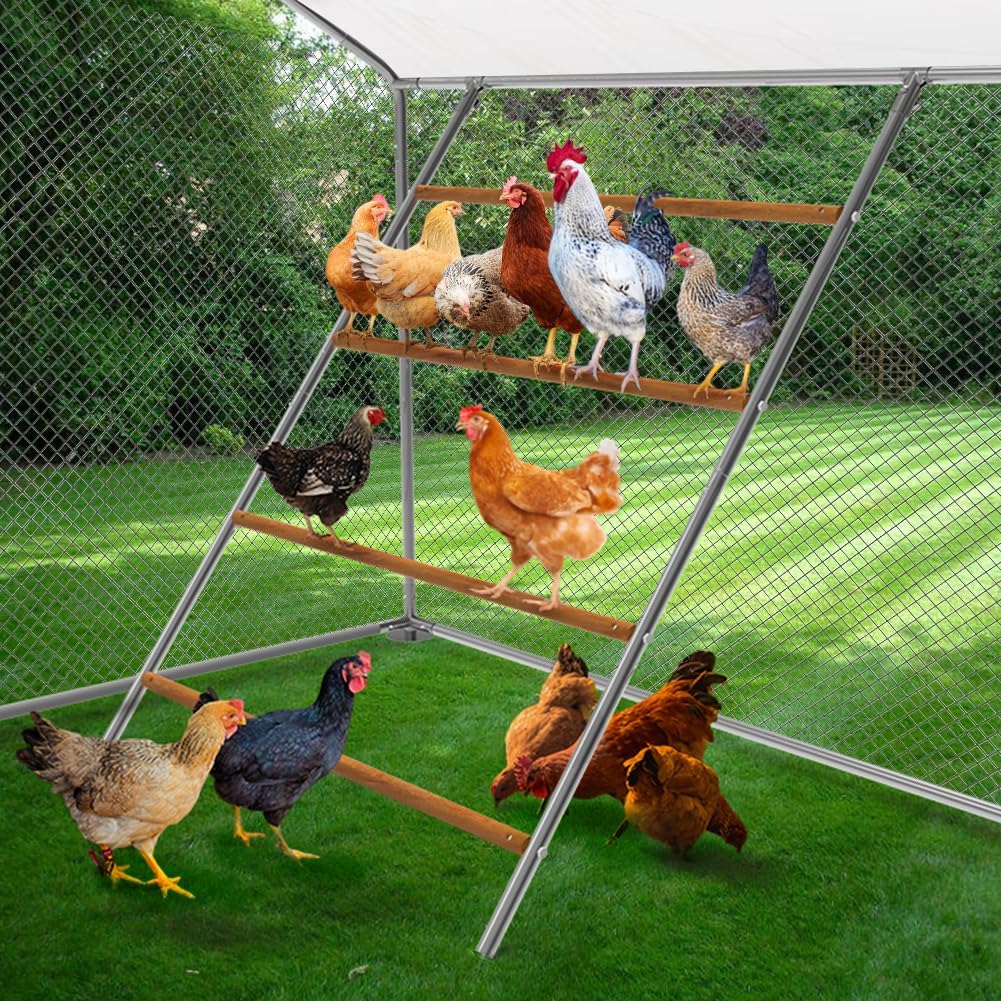 Large Chicken Perch for Coop Wooden Roosting Bar Tranning