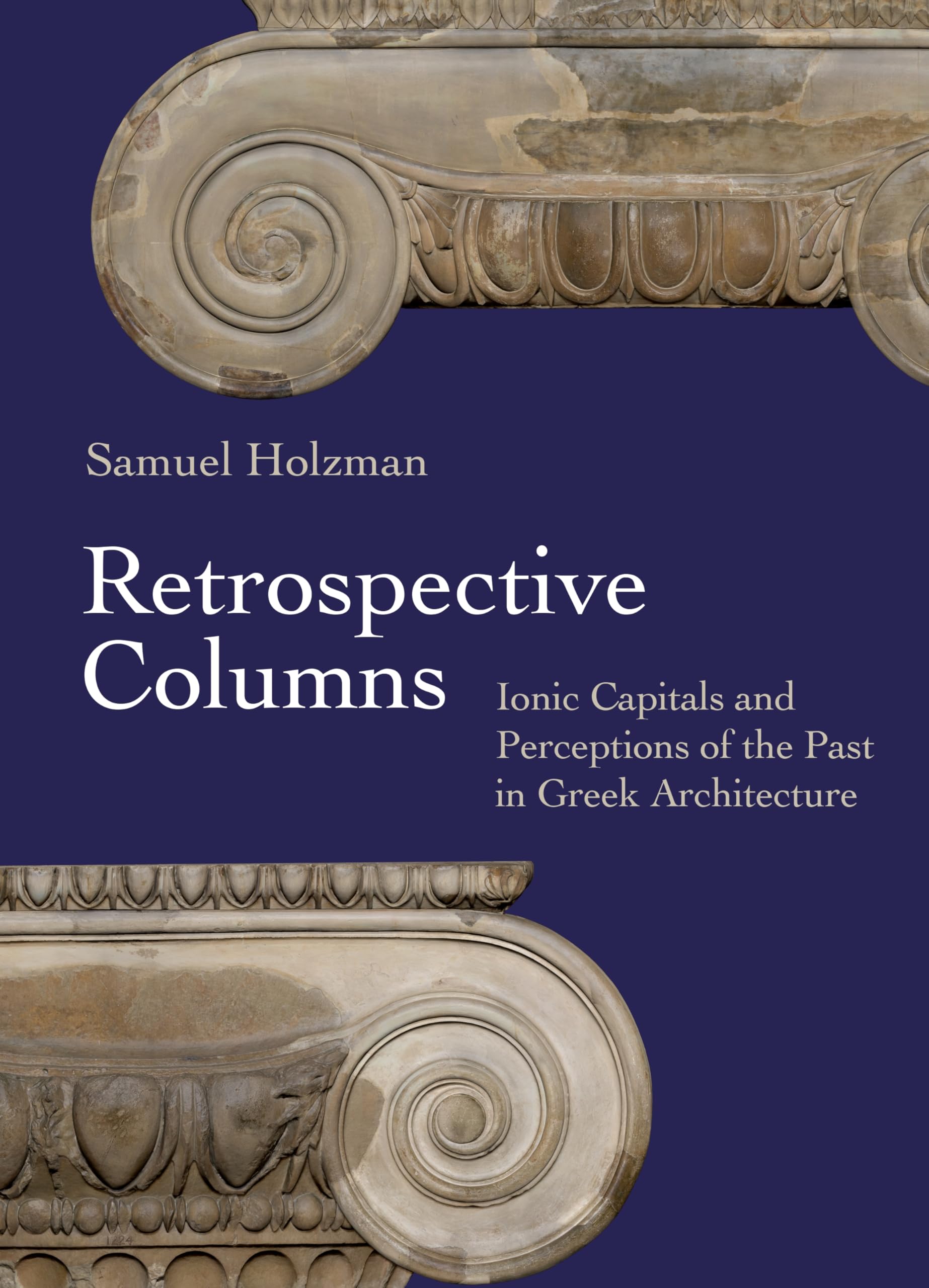 Retrospective Columns by Samuel Holzman - 9780691262550