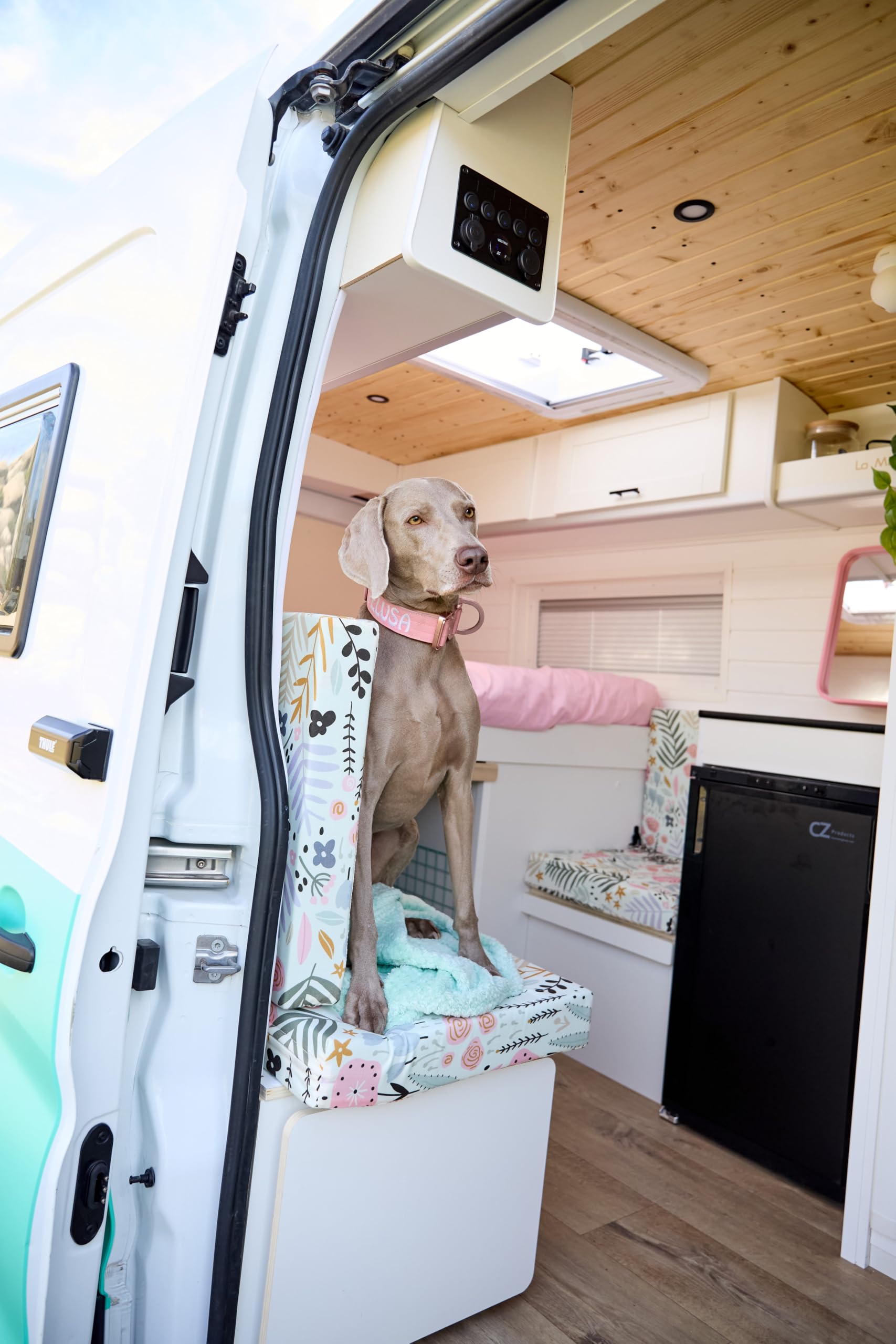 Ventadecolchones - Colchón Plegable con Viscoelástica con Cierre y Asa | 120 x 190 x 10 cm | con Espuma D25 extrafirme en Loneta Premium Gris para Furgoneta, Mini Camper y Camping