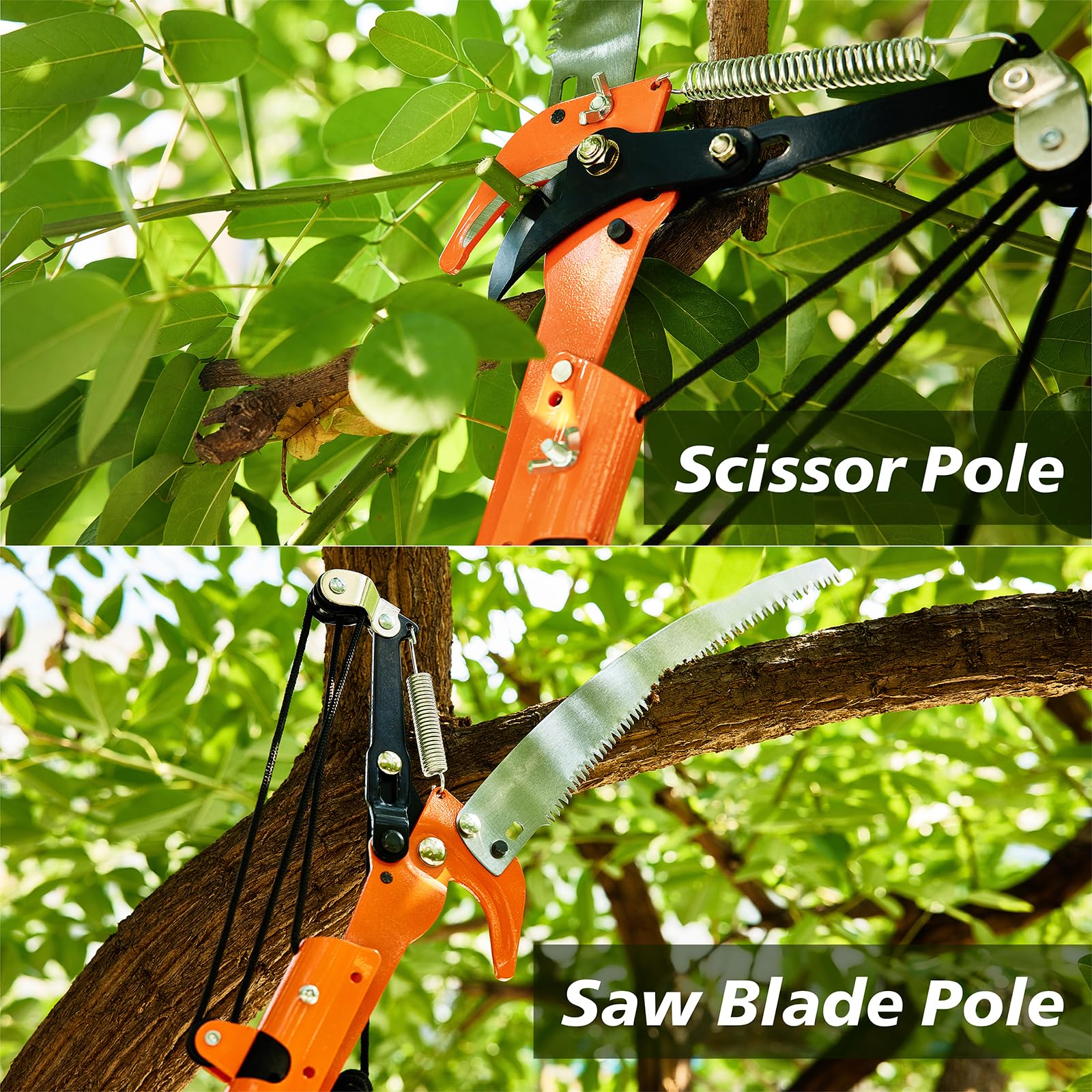 Cortador de rama telescópica, 2-8 m, extensión de podadora de jardín, herramientas de jardinería para corte rama, podadora telescópica ligera y muy resistente