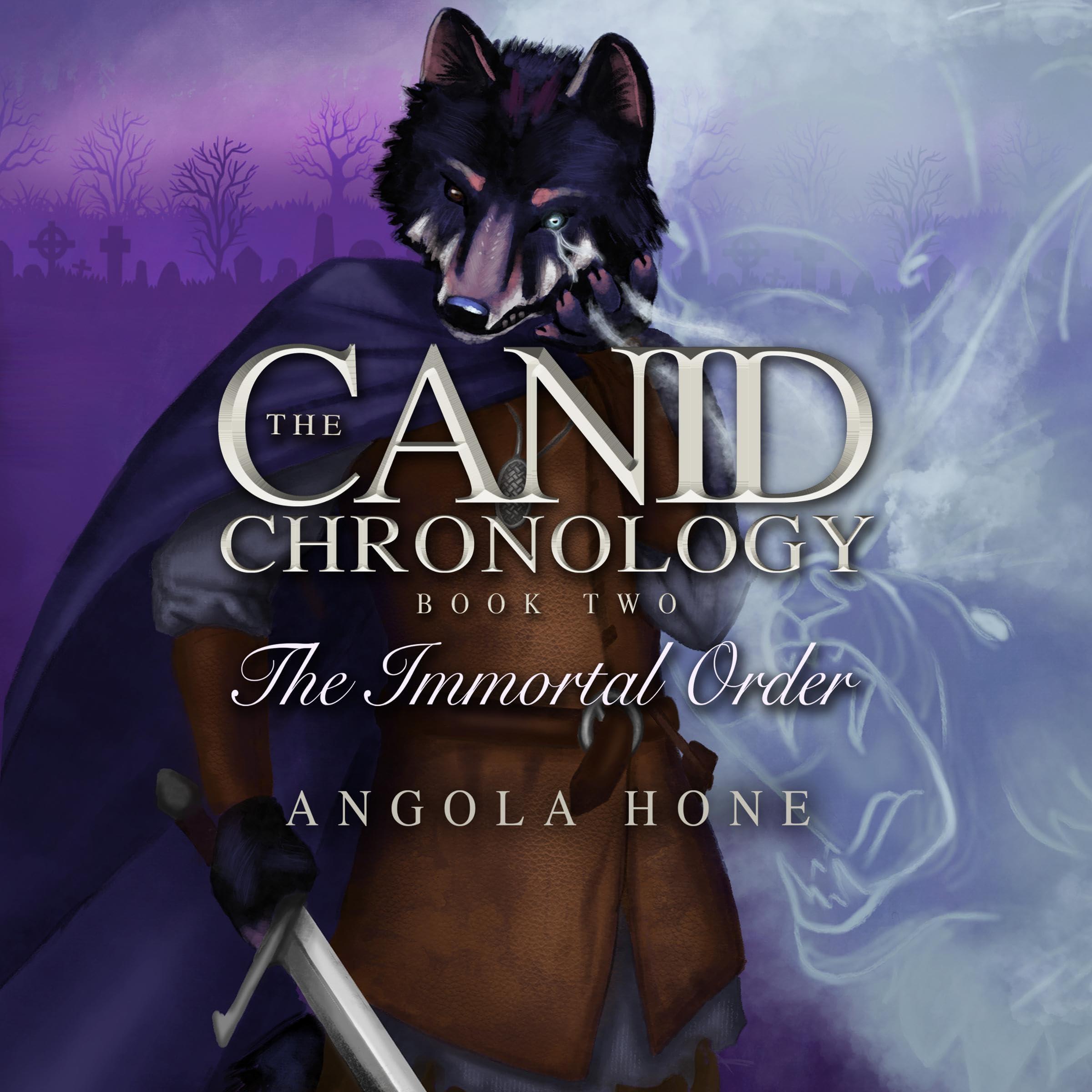 Cover art for The Immortal Order