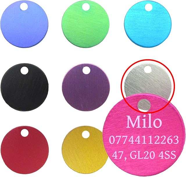 LARRYROO 22mm Anodised Dog Cat Pet Tag ID Tags Personalised Engraved Pet Collar Tags (Silver)