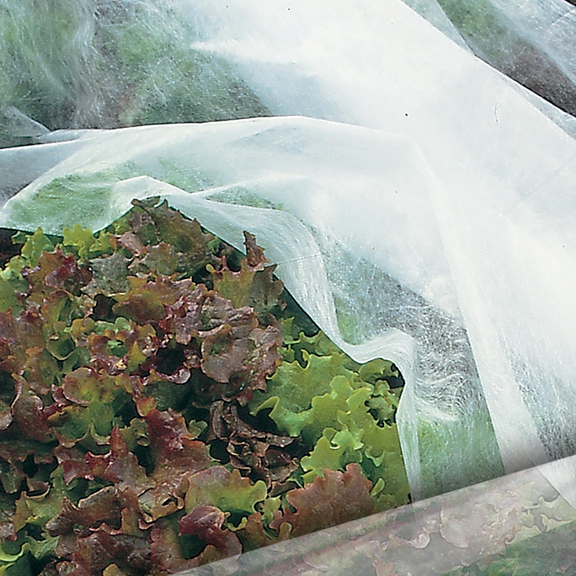 TENAX Ortoclima 1,60x500 m Blanco, Velo Protector Antihielo Ligero para Plantas y Cultivos, de TNT Tejido no Tejido Transpirable 17 g/m², Protege Plantas, Flores y Hortalizas del Frío y el Viento