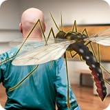 Excellent 3D graphics. Mosquito 3D Simulator