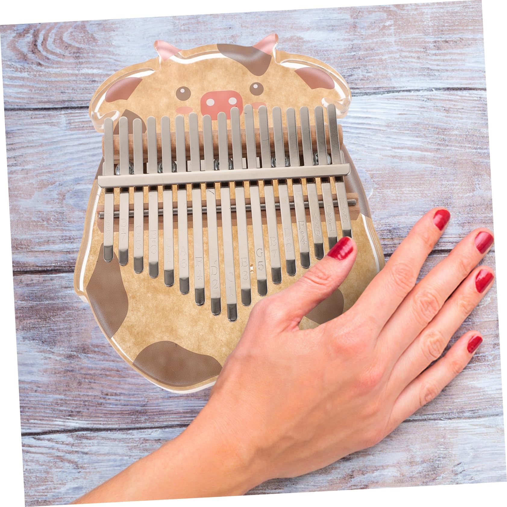 SHOWERORO 17 Key Crystal Kalimba Acrylic Stainless Steel Thumb Piano Portable Finger Instrument for Beginners