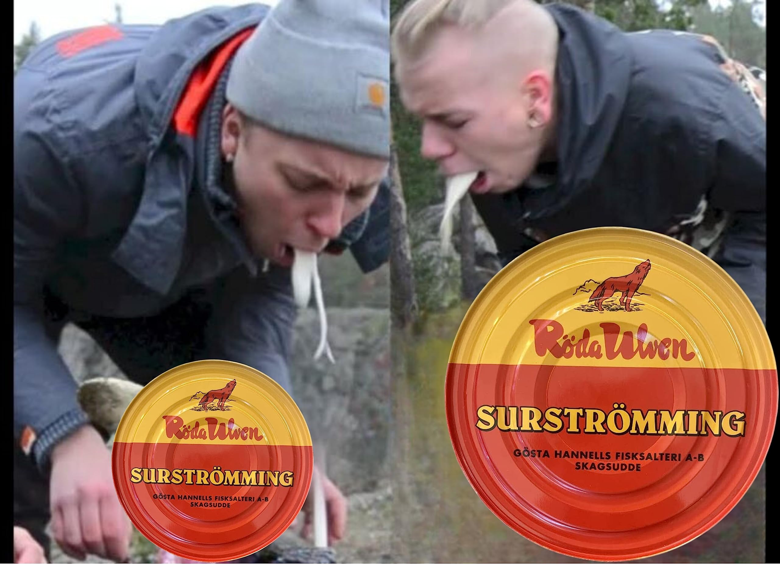 Röda Ulven Surströmming Arenque Fermentado 300g Lata Especialidad Sueca
