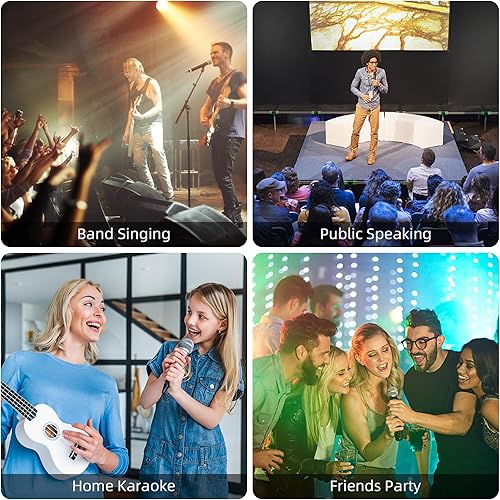 Miniatura 7 de JYTMUS Sistema de micrófono de mano