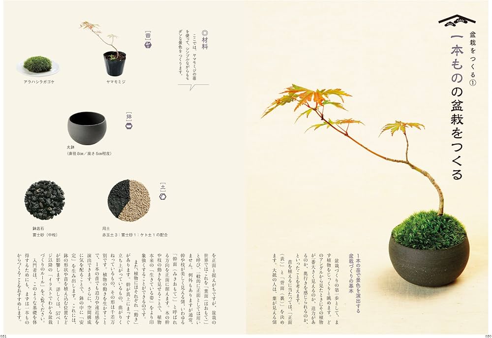 あたらしい盆栽の教科書 ─ちいさな景色盆栽をつくる・愛でる・育てる