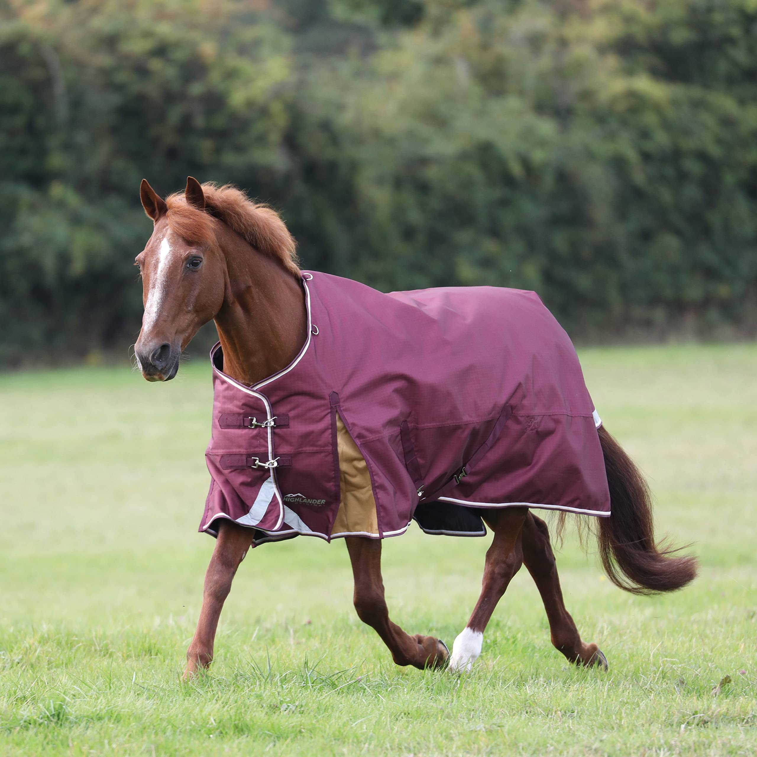 Amazon.com : Shires Highlander Plus 100g Standard Neck Turnout Rug