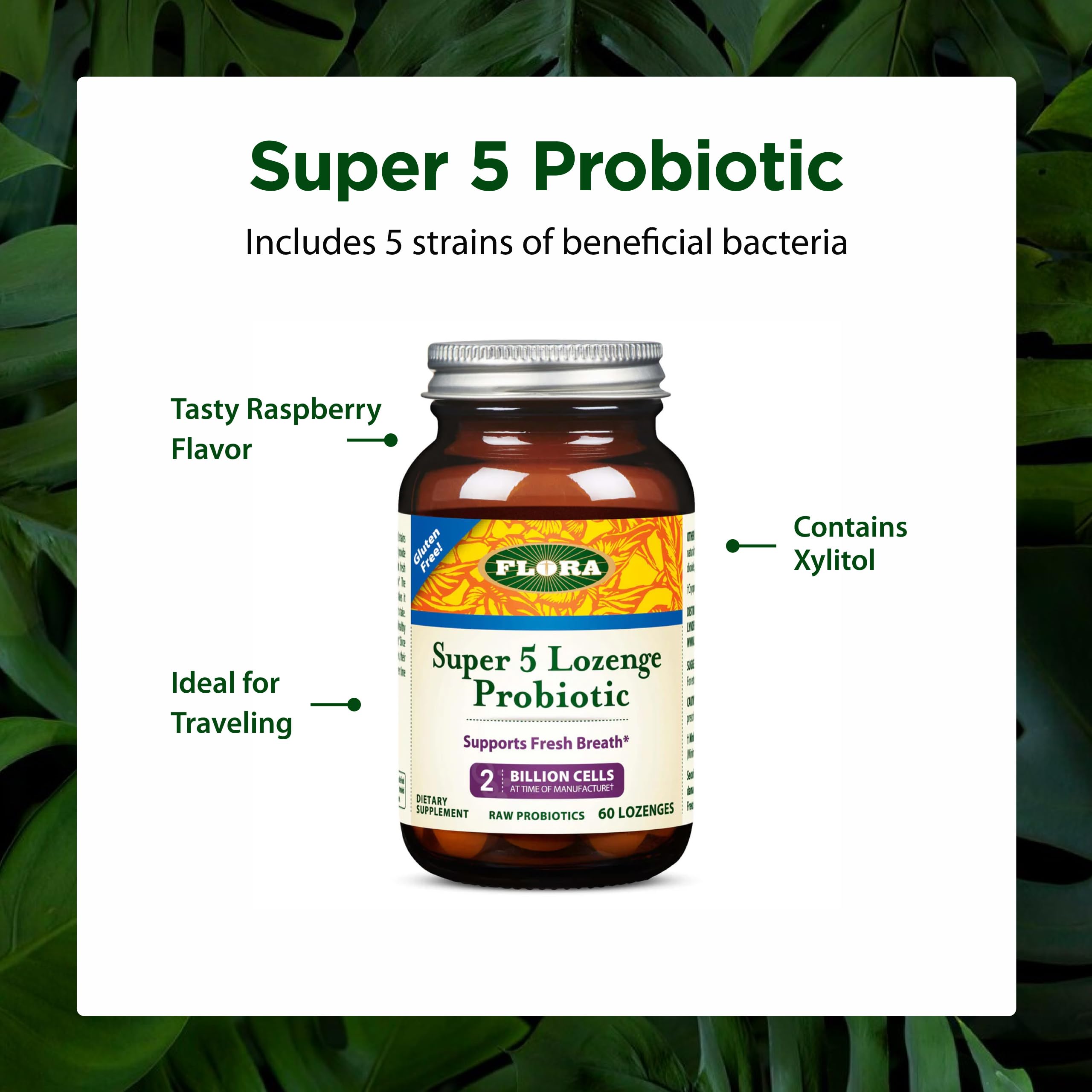 Amazon.com: Flora - Super 5 Lozenge Probiotic, Raspberry Flavored