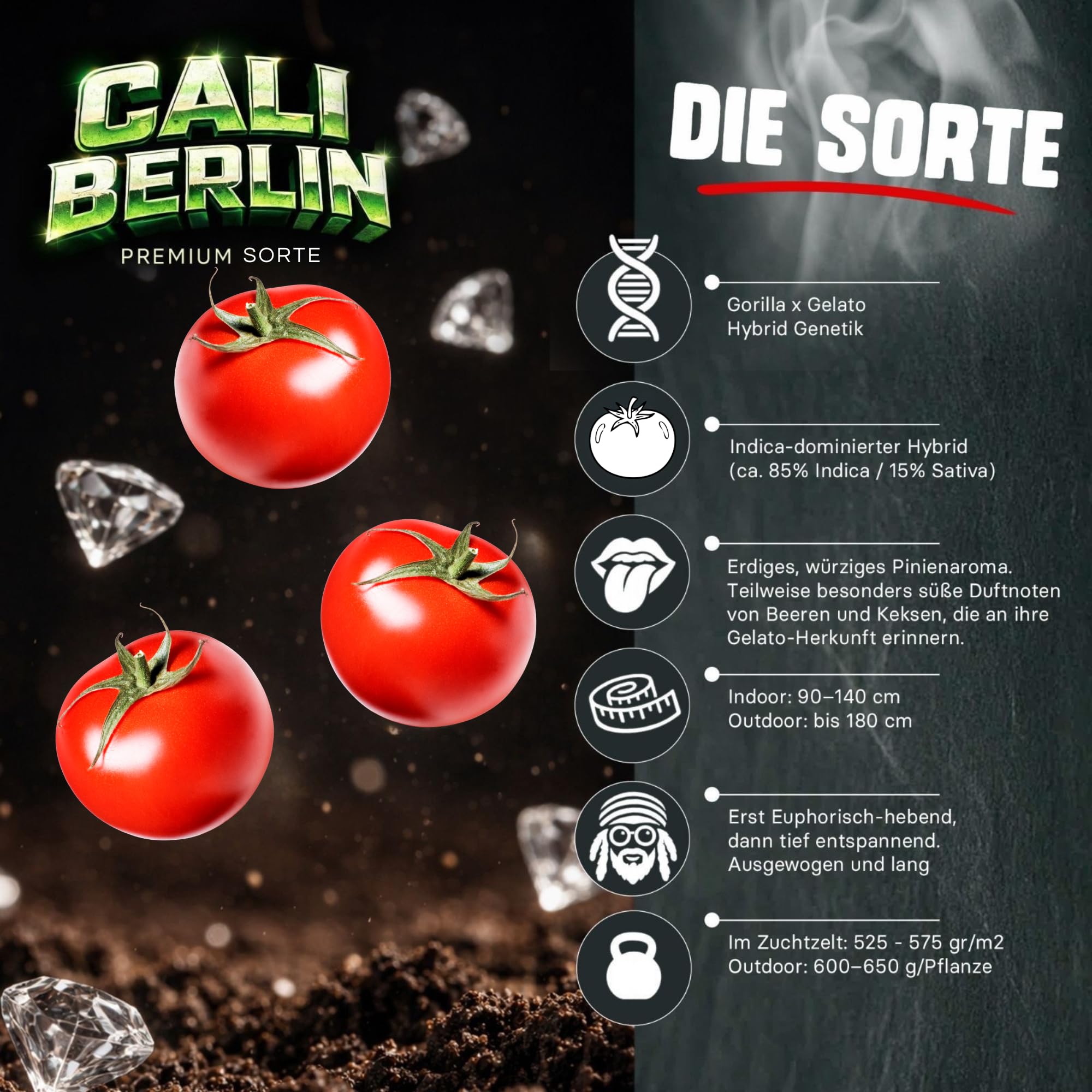Diamond Buds® Cali Berlin Genetik 3er Set – Exklusiver Anzucht-Starter mit feminisierter Genetik, Quelltöpfen, Pflanzenschalen & Nährstofflösung