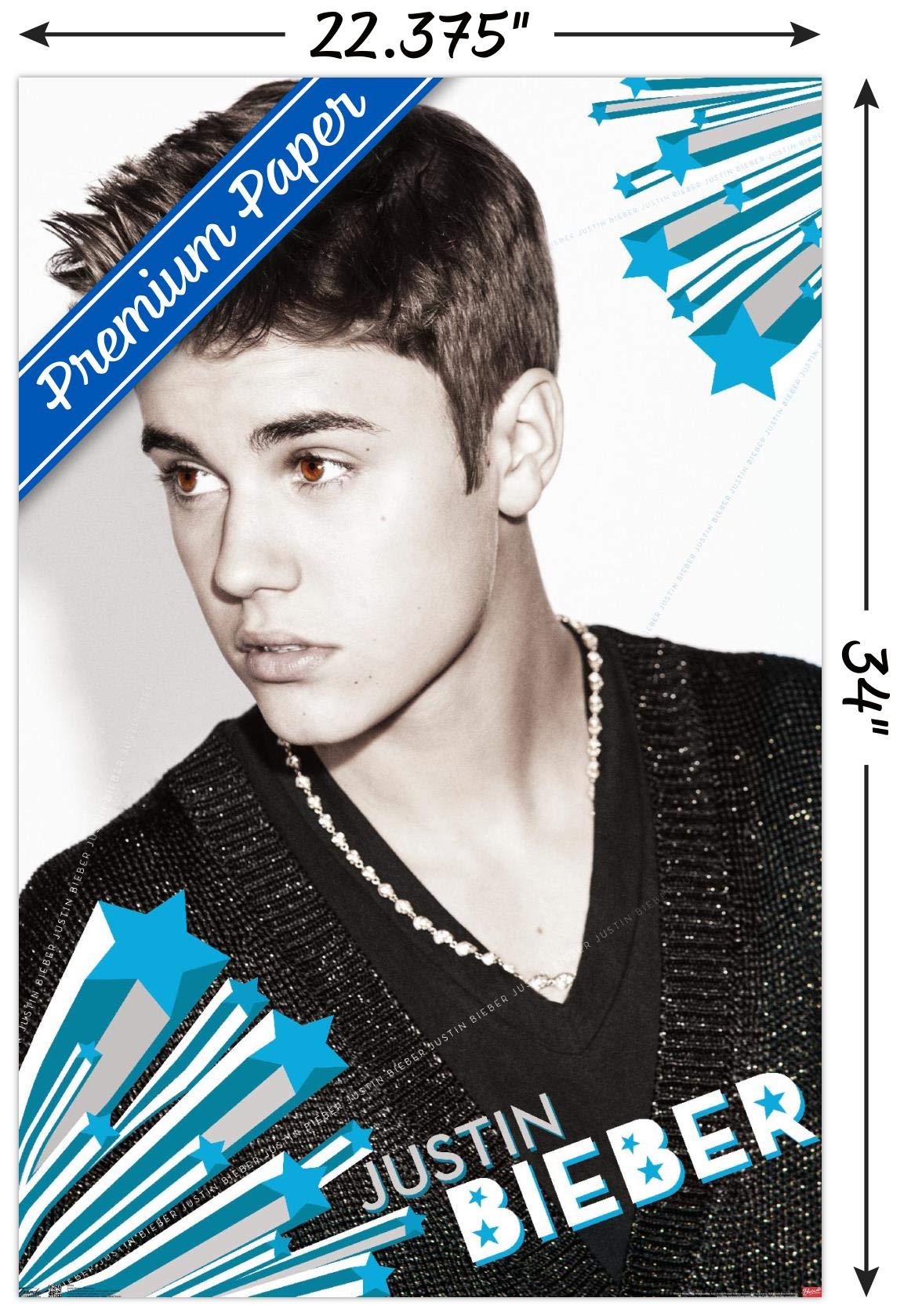 Biggest Justin Bieber Poster 