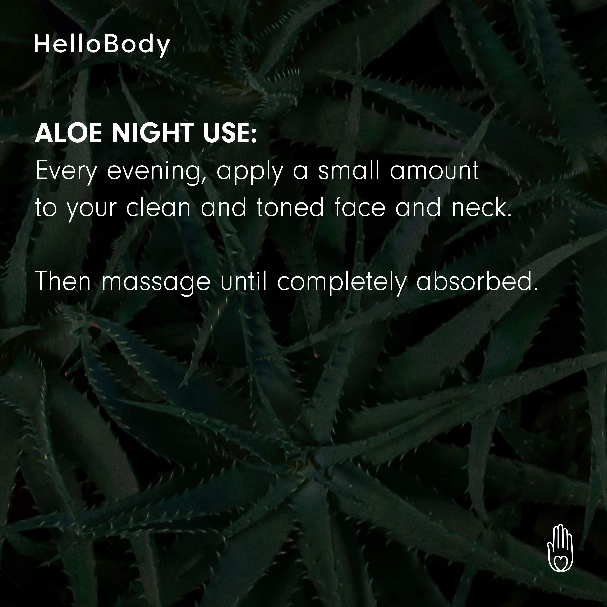 HelloBody Alo Night Moisturizing Night Cream (50ml) - Light Texture Gel  Face Cream - Intensive Facial Care with Hyaluronic Acid and Aloe Vera :  Amazon.com.be: Beauty