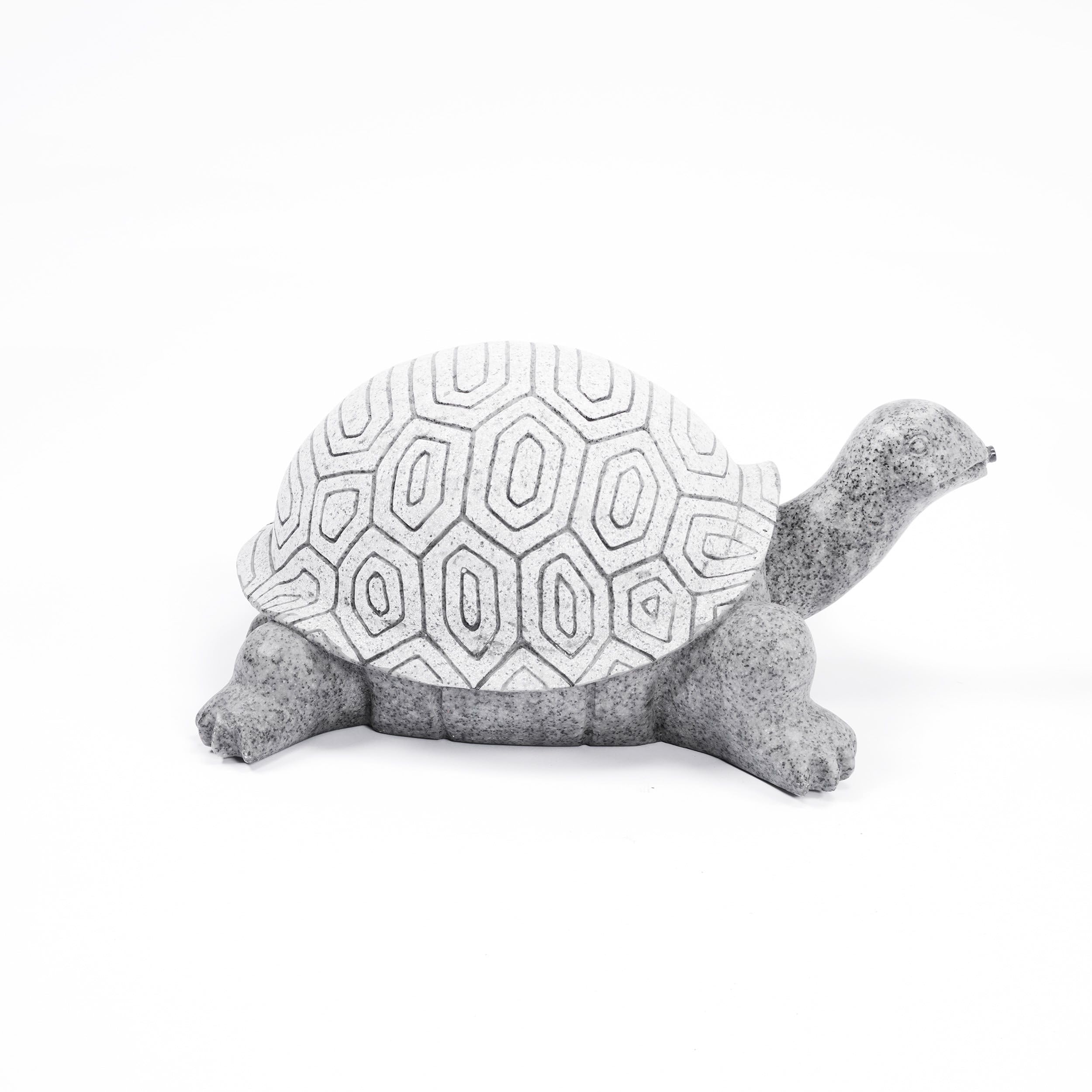 Esotec Fontaine Solaire Kit avec Tortue Pompe Submersible Statue Jardin 17 cm