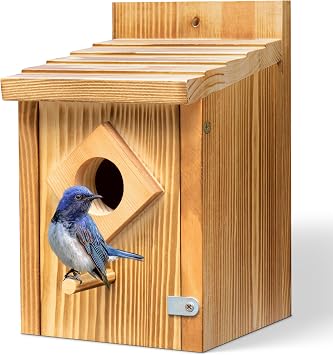 Waterproof Wooden Blue Bird House, Spray Paint Treatment Bluebird Box Houses for Outdoors, Nesting Box for Wrens, Swallows, Finches, Chickadee
