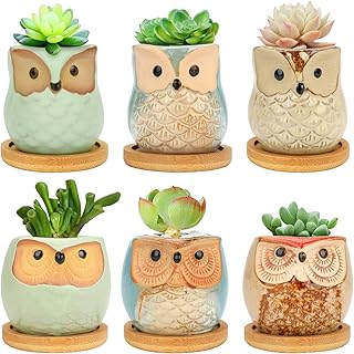 2.5 Inch Owl Succulent Planter Pots Jhua 6 Pcs Ceramic Owl Flower Pots with Bamboo Tray Set of 6, Flowing Glaze Cactus Plant Pot Fower Pot Container Bonsai Pots with a Drain Hole for Home Office Decor