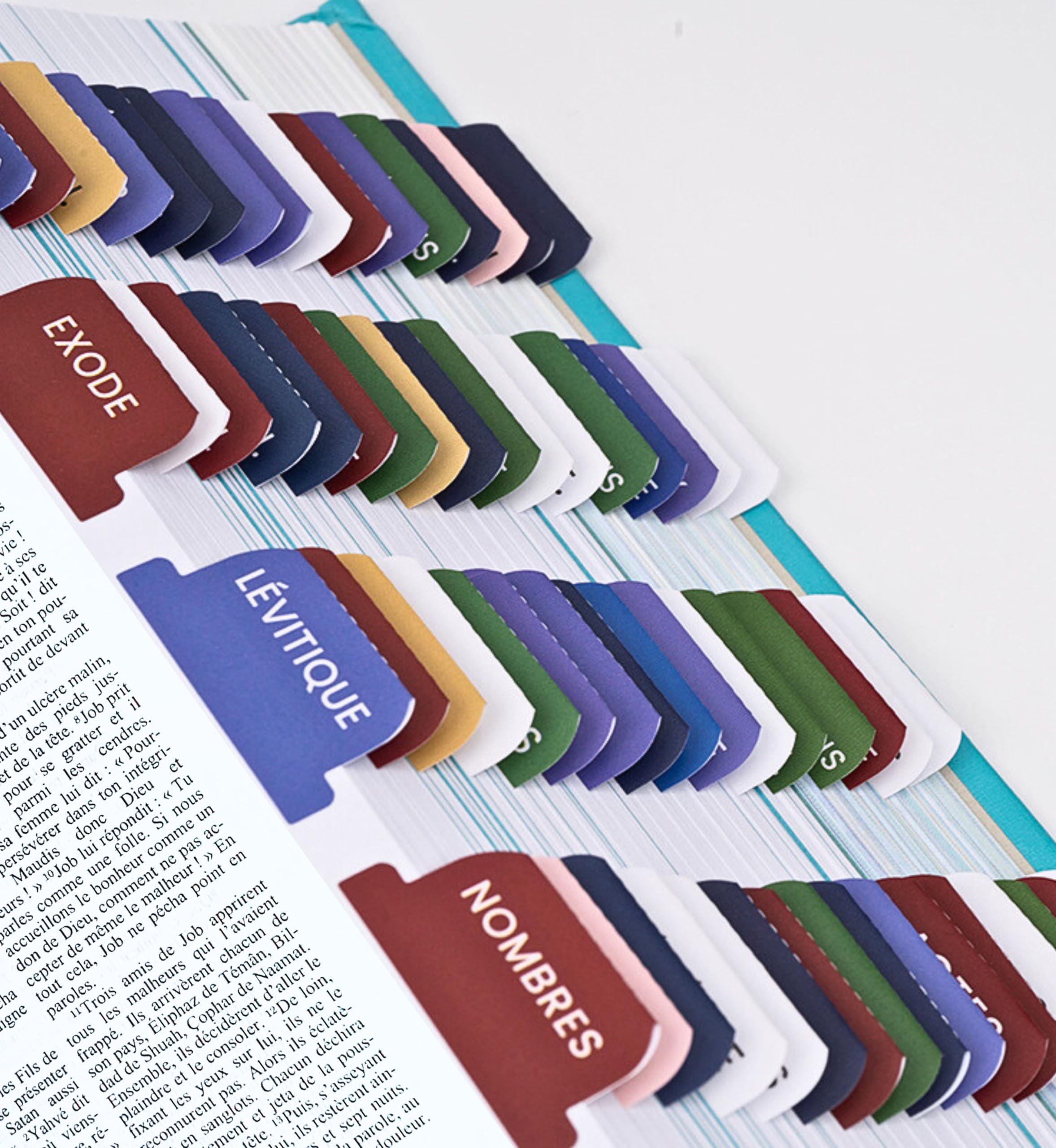80 French Bible Tabs in Catholic, Protestant and Jehovah's Witness - Bible Divider in Liturgical Colours, Bookmark, Christian Label (Louis Segond Bible)
