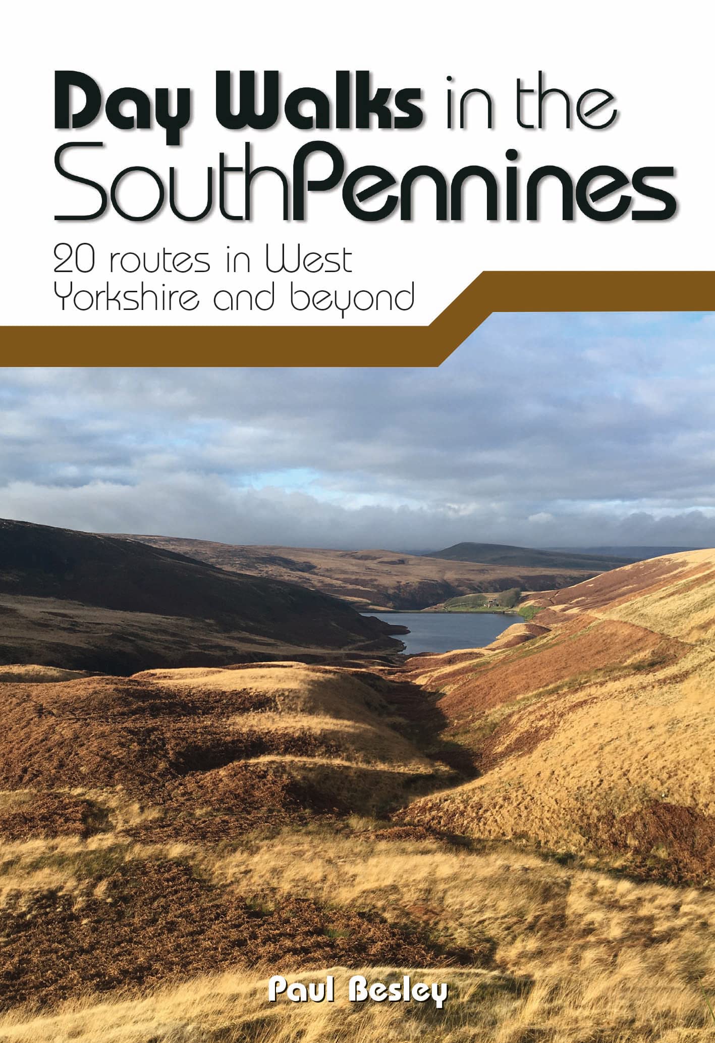 Day Walks in the South Pennines: 20 routes in W. Besley**