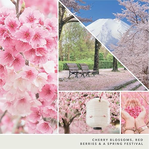 Miniatura 6 de Yankee Candle Sakura Blossom Festival - Vela en tarro grande, color rosa blanca Festival de la Flor de Sakura,Lavanda seca y roble,Amarillo,Lavanda