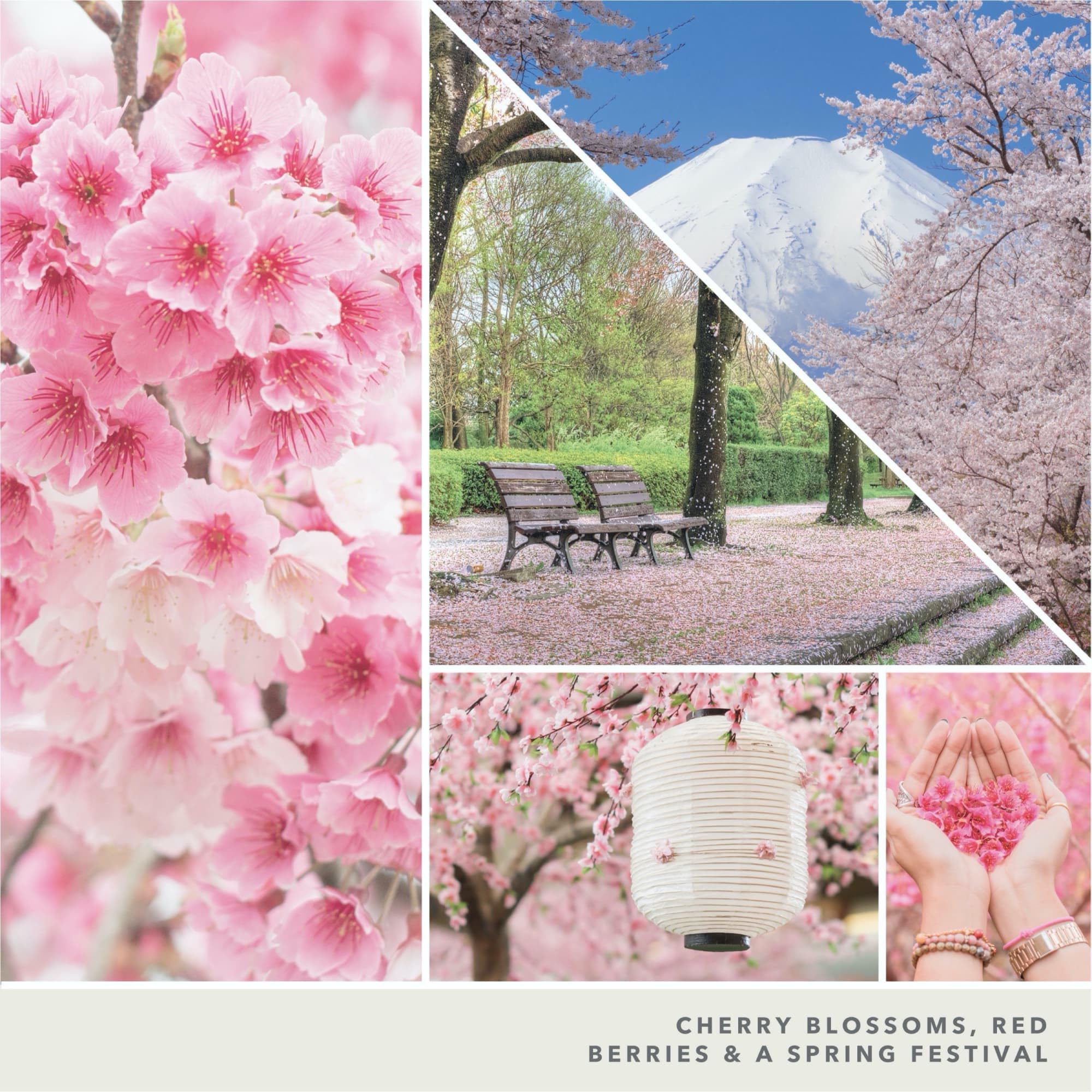 Yankee Candle Sakura Blossom Festival Duftkerze im Glas, groß